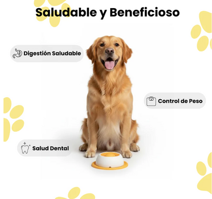 ZenPaw™ Orbit - Estimulador Mental Anti-Estrés